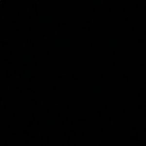 Meet your Posher, Mia